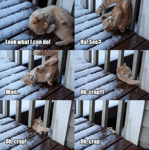 main-qimg-88e9fd347393bdd356936bc251713524-lq