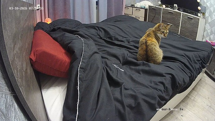 realm18-cam16-1773116679