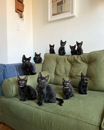 Who wants to cuddle with us