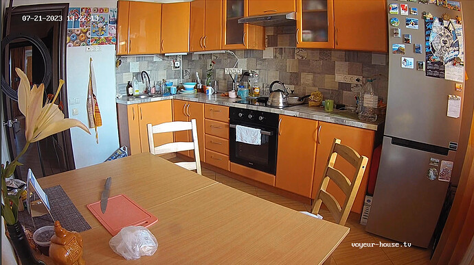 Screenshot 2023-07-21 at 06-22-31 Ariela & Sebastian apartment with reallifecam cameras at Voyeur House TV