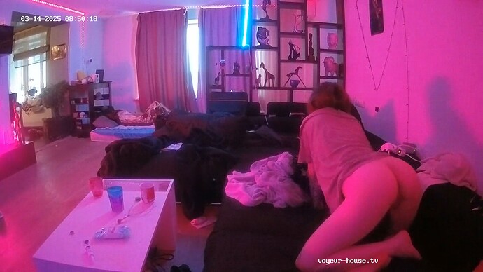 realm55-cam120-1741920651