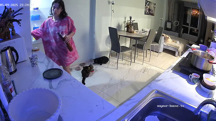 realm6-cam12-1746826503
