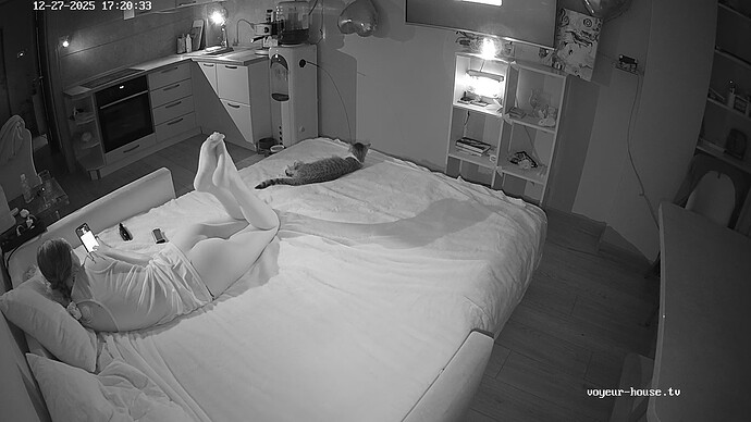 realm134-cam14-1766845262