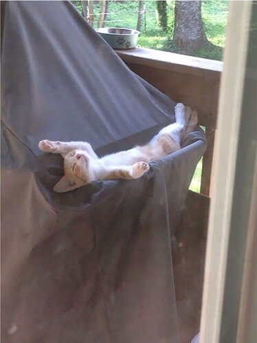 main-qimg-512d3a6a71b28fcc957824008b3a6b84