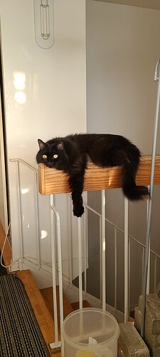 main-qimg-93fd33c285cf469087055b76262d6c2c-lq