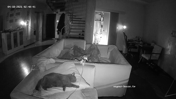 realm8-cam17-1776469756