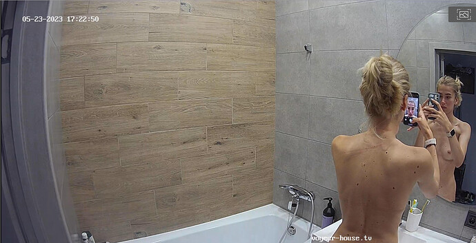 Screenshot 2023-05-23 at 10-27-16 Hall camera at Amelie & Lucas reallifecam apartment at Voyeur House TV (cam110)