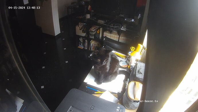 realm30-cam115-1713205246