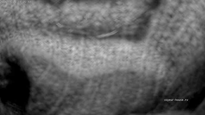 realm162-cam16-1787573073