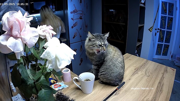 RosyAleks-20251109-07