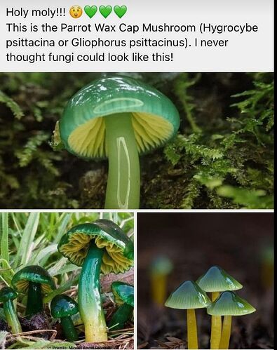 3eab571563eb347899ac753b0df8af43
