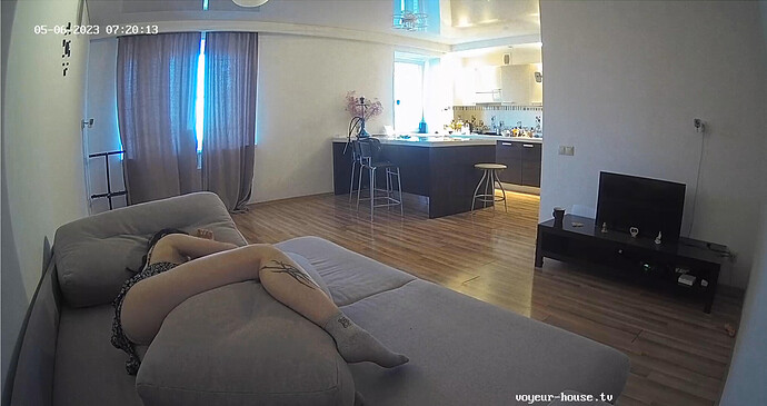 Screenshot 2023-05-05 at 21-20-33 Living room camera at Amelie & Lucas reallifecam apartment at Voyeur House TV (cam13)