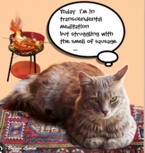 main-qimg-10b9c763c4f95772cbf39b567d25bf78