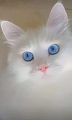 main-qimg-13a558d900269dd5d47a997e00e8360a