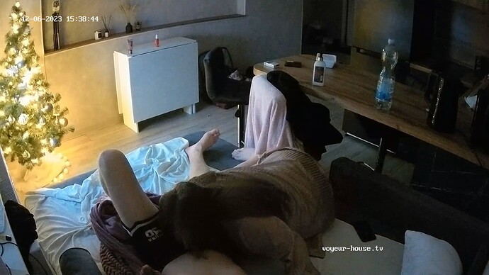 Noldus 2023-12-06 15-38-21-893