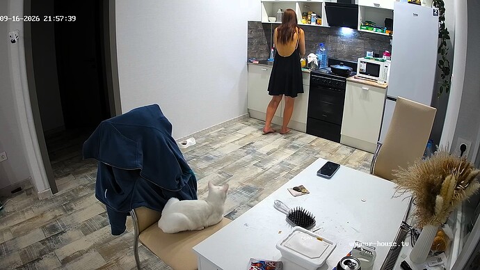 videoframe_29069