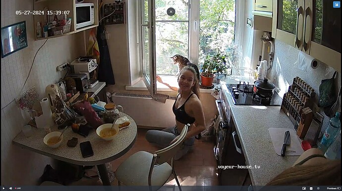 Ashampoo_Snap_lundi 27 mai 2024_14h39m40s_003_Kitchen camera at Ubaldo & Bo reallifecam apartment at Voyeur House TV (cam11) - Google Chrome