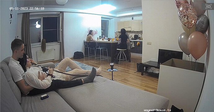 Screenshot 2023-05-11 at 12-57-09 Living room camera at Winter reallifecam apartment at Voyeur House TV (cam14)