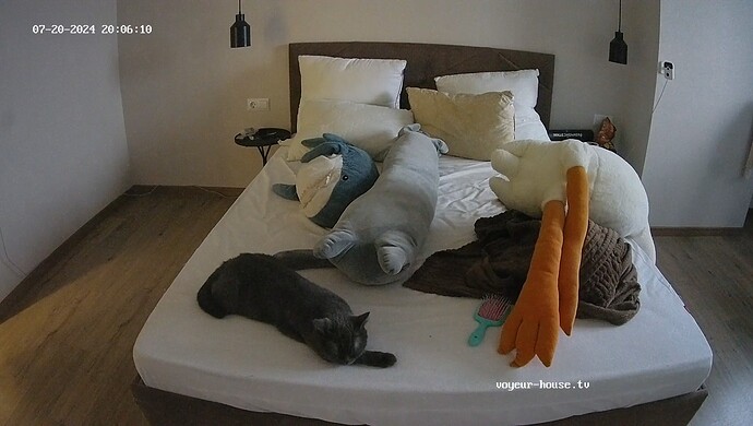 realm31-cam17-1721495205