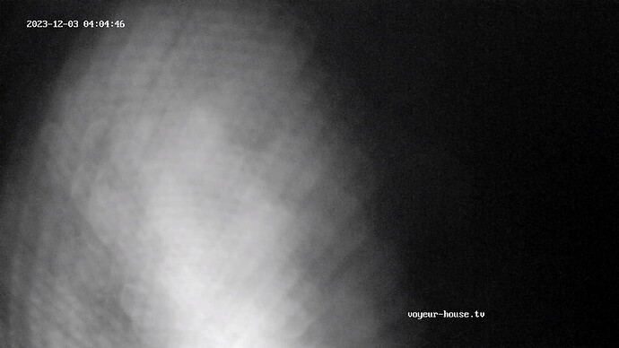 realm44-cam111-1701569119