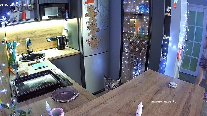 realm94-cam12-1767755072