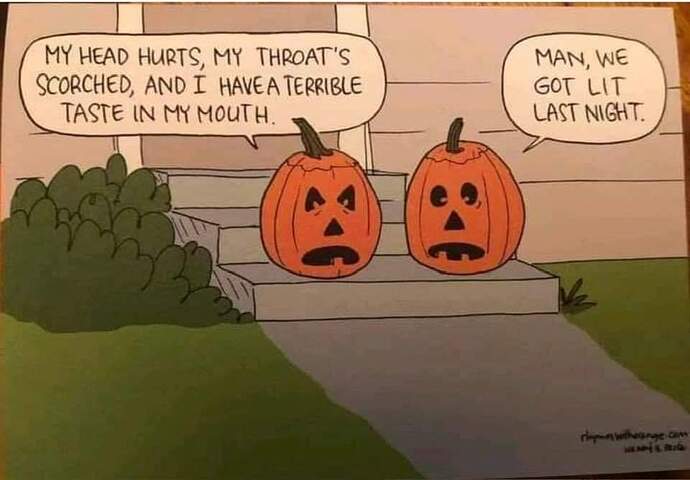 FB_IMG_1698784279690