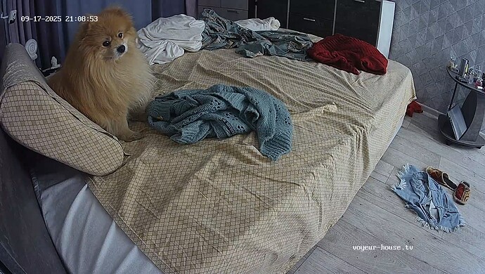 realm18-cam16-1758132569