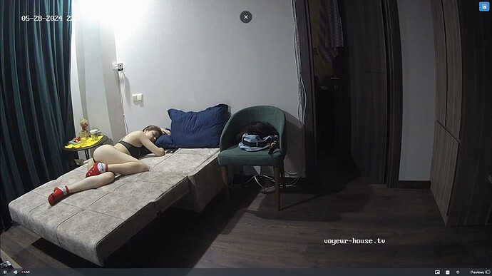 Ashampoo_Snap_mardi 28 mai 2024_20h22m4s_005_Living room camera at Roza reallifecam apartment at Voyeur House TV (cam13) - Google Chrome