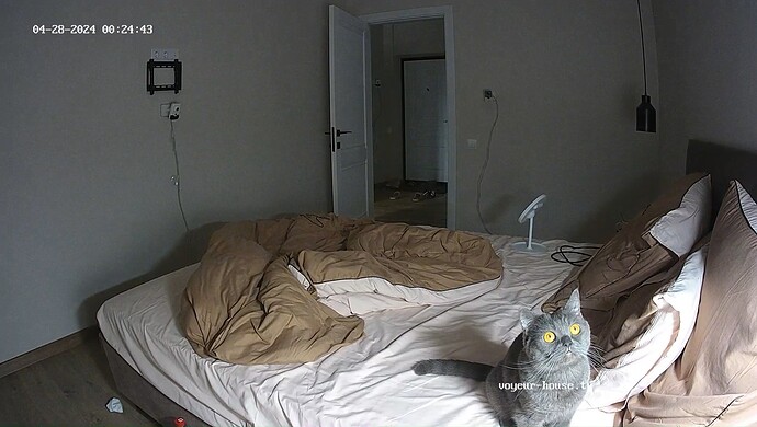 realm31-cam18-1714254064