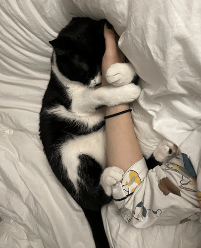 main-qimg-3051f986c0cec8e85e01cfa0dd0defdb