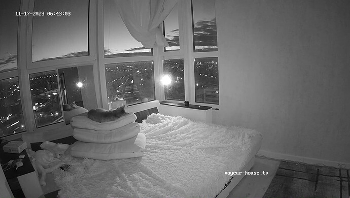 realm6-cam15-1700192614