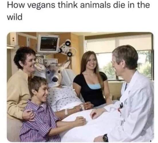FB_IMG_1689778539105