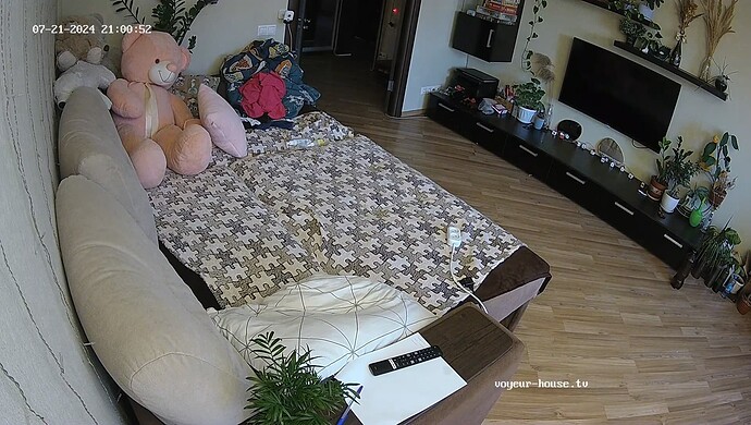 realm37-cam16-1721584888