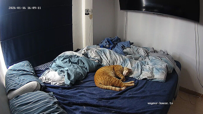 realm44-cam14-1768597793