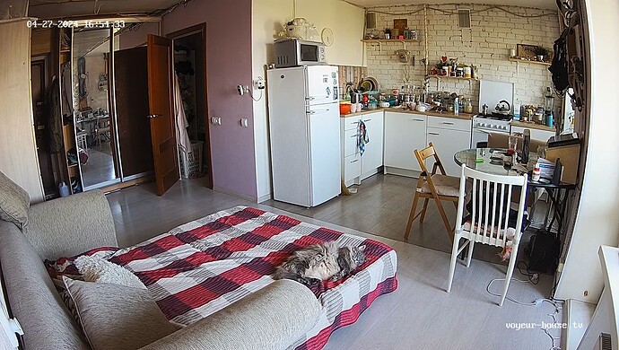 realm75-cam14-1714240488