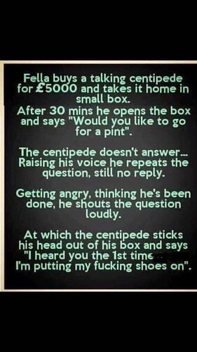 centipede