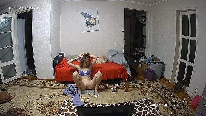 realm87-cam13-1694461887