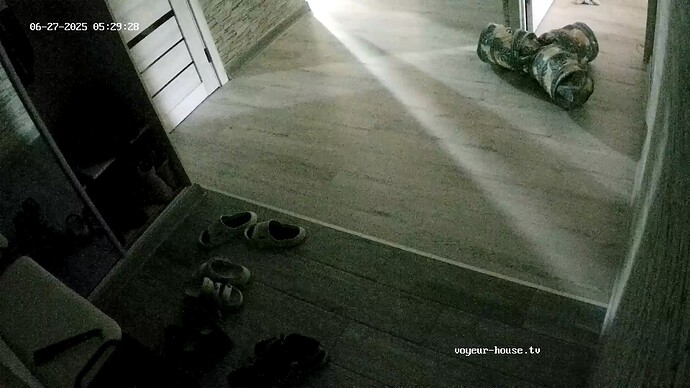 realm64-cam111-1751023280