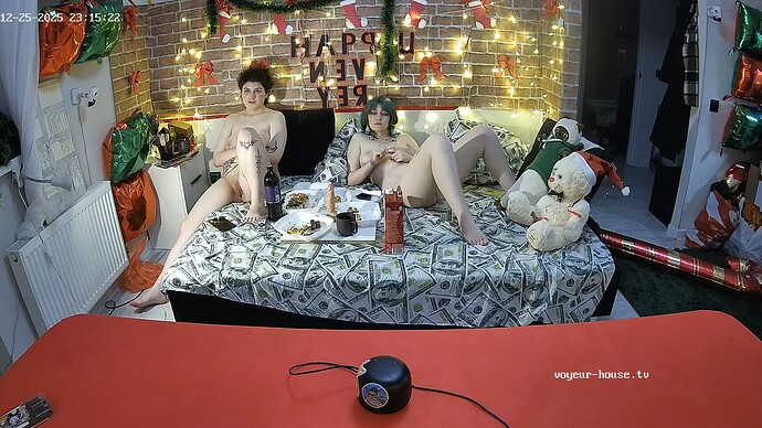 realm5-cam15-1766694479