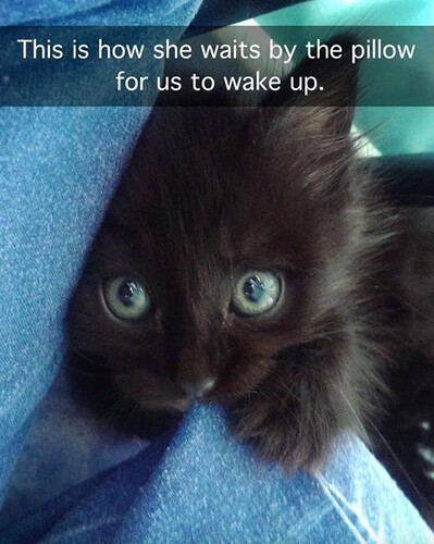 main-qimg-e27190ba4c1a4671fd820f8b67ce90f4