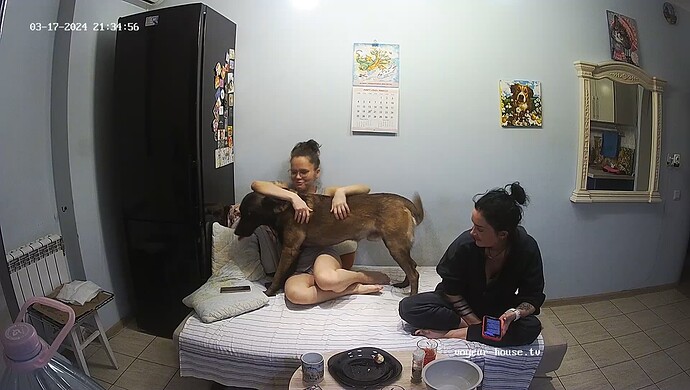 realm60-cam13-1710700536