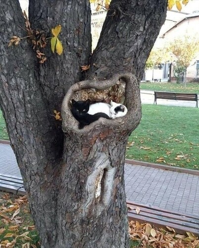 main-qimg-acf1795aeda01e5cfce9ebaf2130b7be