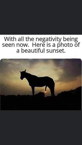 453246468_10232821330452758_184255035873701607_n