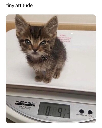 main-qimg-b0b85700e134dad8e0b701a390527f4f