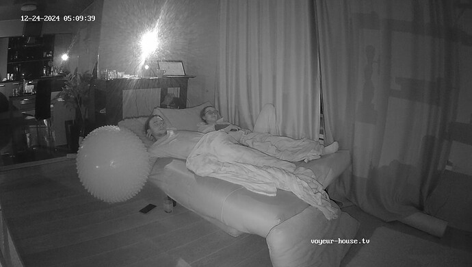 realm55-cam16-1734995416