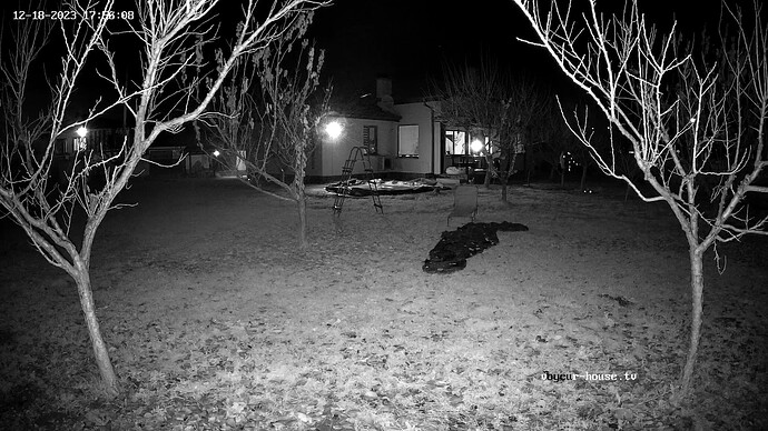 realm59-cam119-1702999291