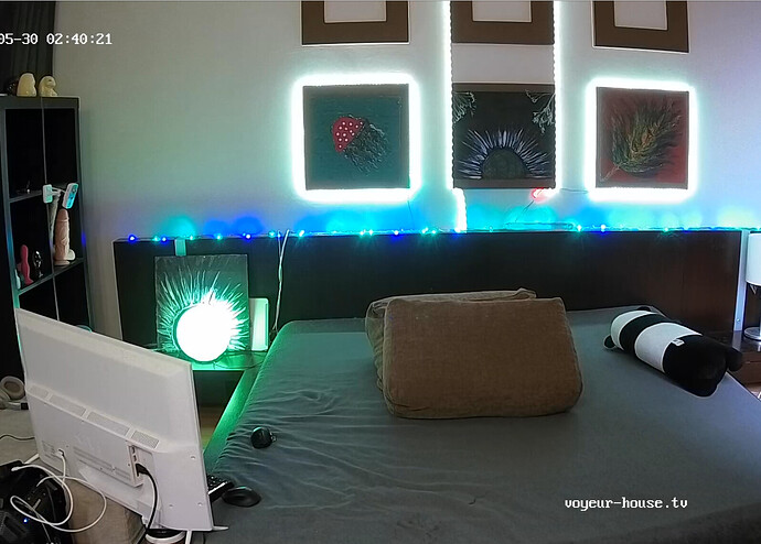 Screenshot 2023-05-29 at 19-40-13 Guest bedroom camera at Sophia Elon Claudia reallifecam apartment at Voyeur House TV (cam110)
