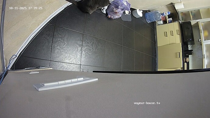 realm8-cam12-1760193603