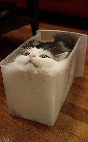 Cats are liquid~2