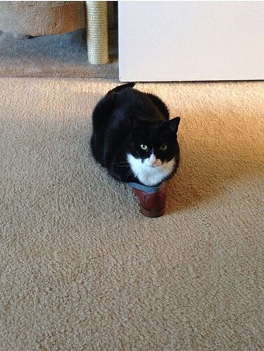 main-qimg-fda94c080662407e59abc7416959b892